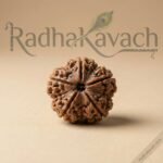 Gauri Shankar Rudraksha (Nepali) Abhimantrit